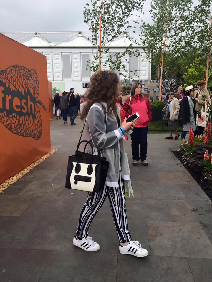 13226860_1142624622460227_4624623034561684049_n