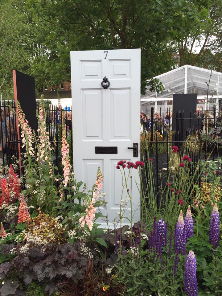 13238893_1142625122460177_1536036587932002639_n