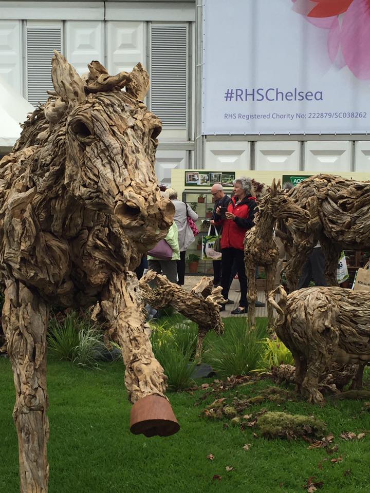 13239239_1142624835793539_4362072984017905258_n