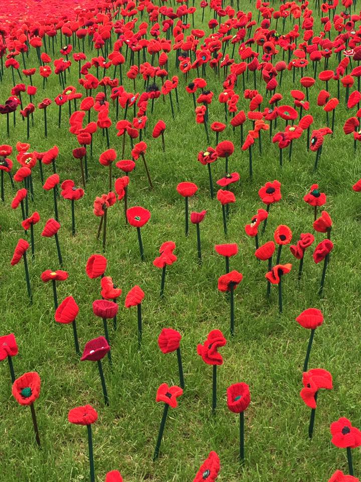 13244695_1142625025793520_2849378279153157997_n