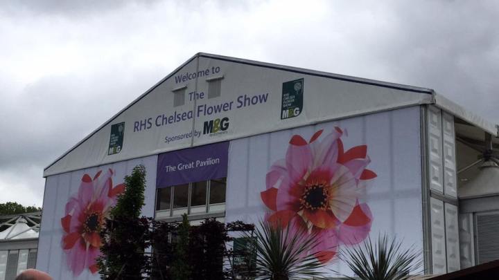 13245489_1142624859126870_3563107623466048901_n