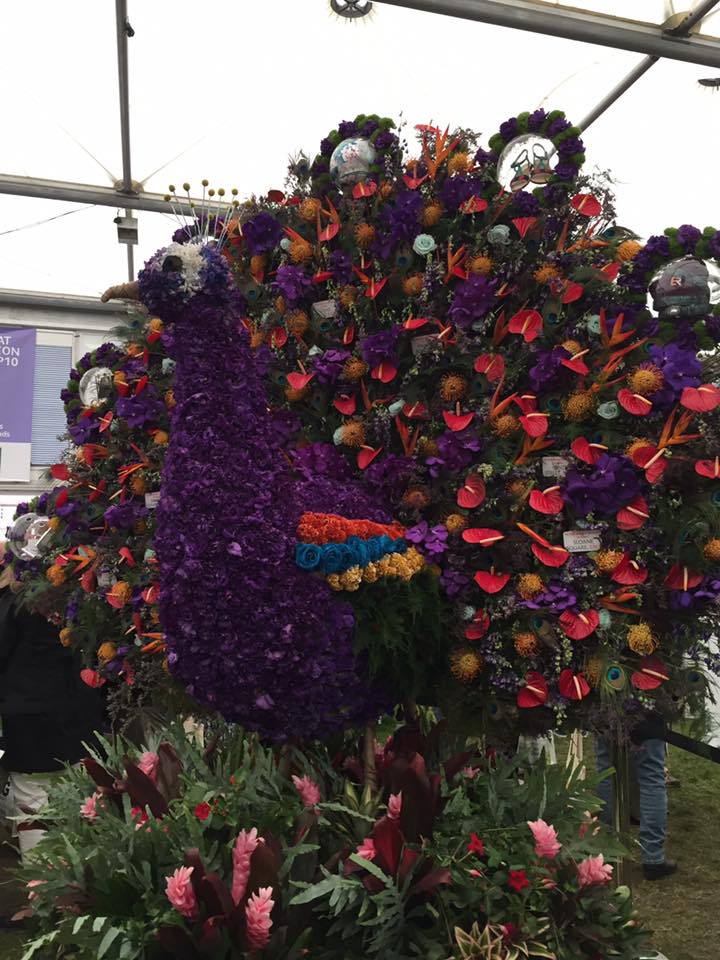 13255987_1142625129126843_449875278235465195_n