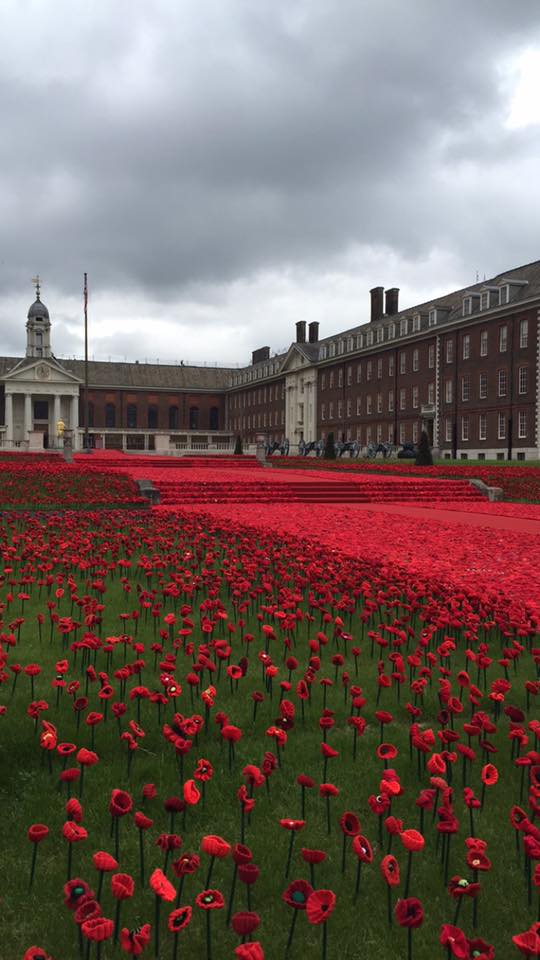 13267733_1142624922460197_3359529040666317533_n