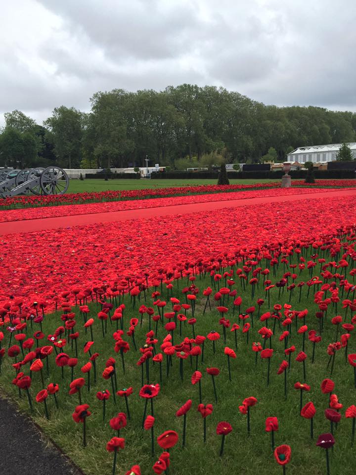 13267976_1142625062460183_269338524427603842_n