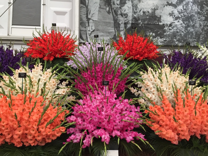 A day out with the flowers: Chelsea Flower Show&nbsp;2016