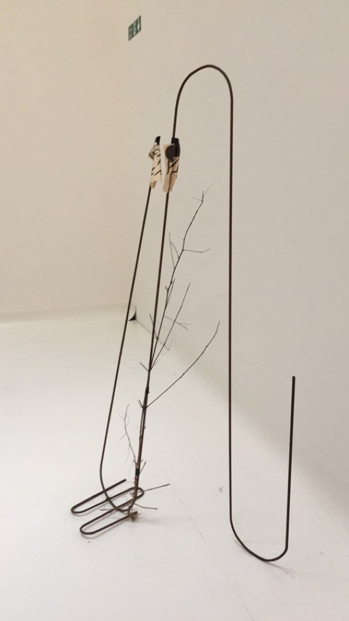 2016-10-17 14.49.25.jpg