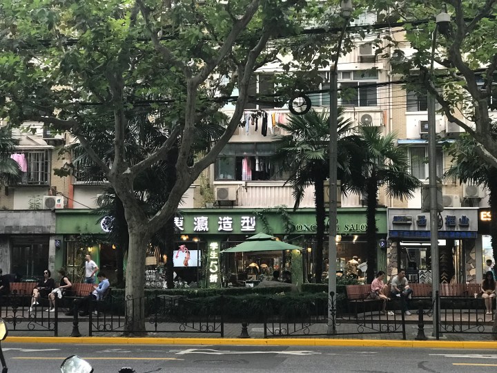 what-to-see-in-shanghai-china